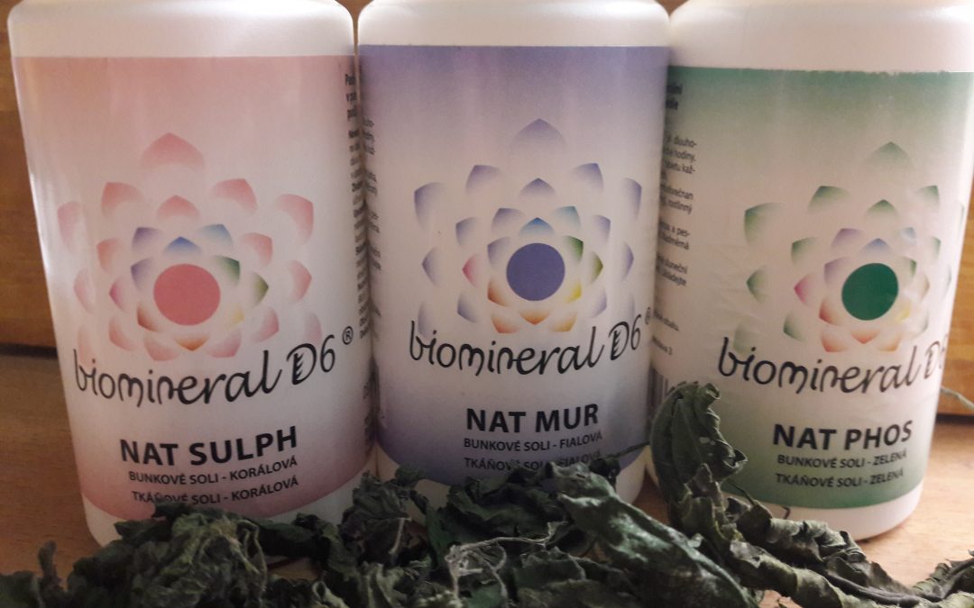 Jarní detox